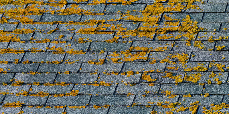 How to Tell if You Need a Roof Replacement