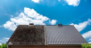 What You Need to Know About Roof Cleaning