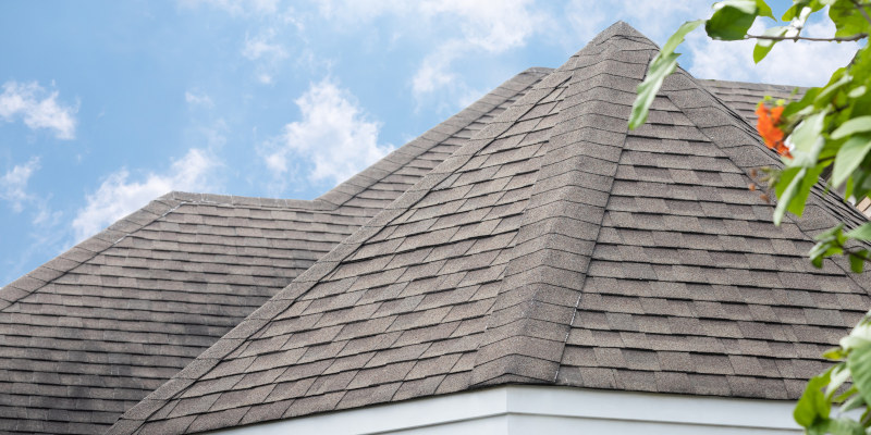 Does Your Home Need a New Roof?